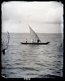United States Fish Commission Steamer "Albatross" Circumnavigation of South America, 1888. Creator: United States National Museum Photographic Laboratory