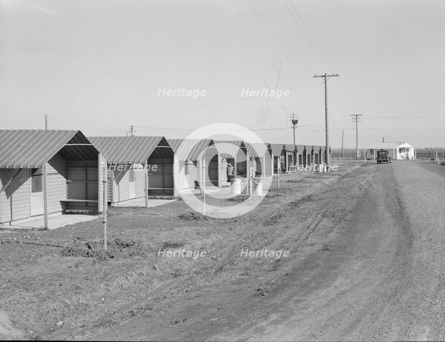 United States government camp for migratory workers, (FSA), Westley, California , 1939. Creator: Dorothea Lange.