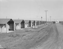 United States government camp for migratory workers, (FSA), Westley, California , 1939. Creator: Dorothea Lange