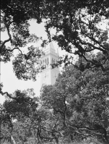 University of California at Berkeley views, 1927 Creator: Arnold Genthe