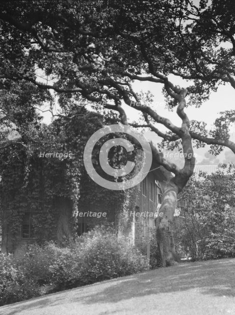 University of California at Berkeley views, 1927 Creator: Arnold Genthe.