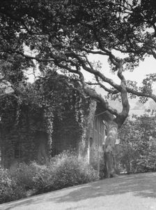 University of California at Berkeley views, 1927 Creator: Arnold Genthe