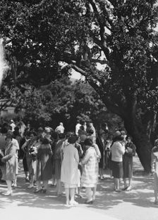 University of California at Berkeley views, 1927 Creator: Arnold Genthe