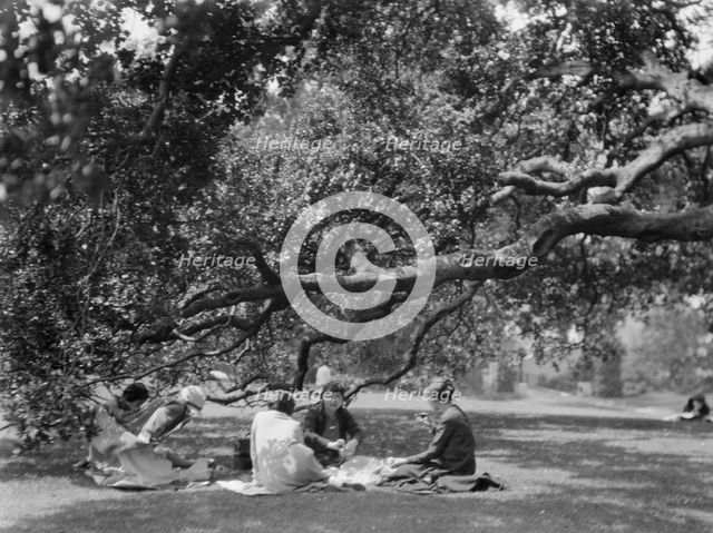 University of California at Berkeley views, 1927 Creator: Arnold Genthe.