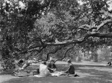 University of California at Berkeley views, 1927 Creator: Arnold Genthe