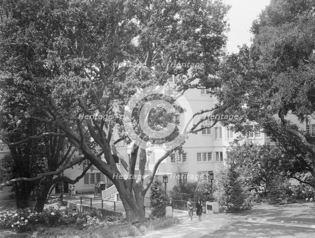 University of California at Berkeley views, 1927 Creator: Arnold Genthe.