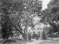 University of California at Berkeley views, 1927 Creator: Arnold Genthe