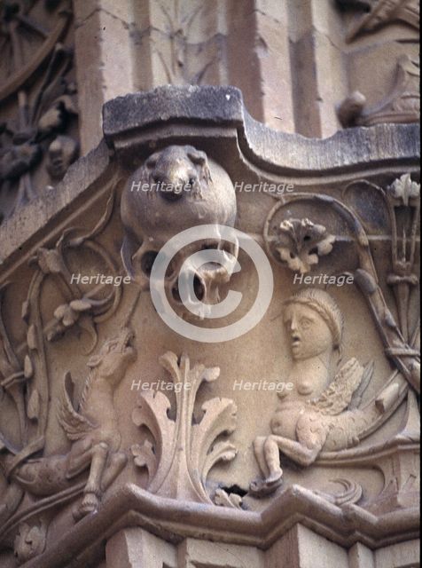 University of Salamanca, detail of the decoration in the first part of the façade with frog perch…