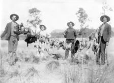 Unknown men and boy with a successful duck shoot, c1900s. Creator: Robert Augustus Henry L'Estrange