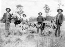 Unknown men and boy with a successful duck shoot, c1900s. Creator: Robert Augustus Henry L'Estrange