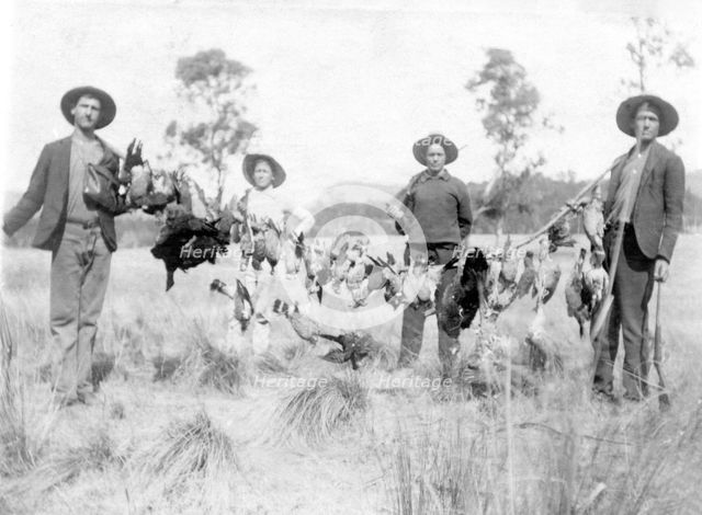 Unknown men and boy with a successful duck shoot, c1900s. Creator: Robert Augustus Henry L'Estrange.