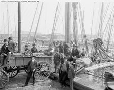 Unloading oyster luggers, Baltimore, Md., (1905?). Creator: Unknown