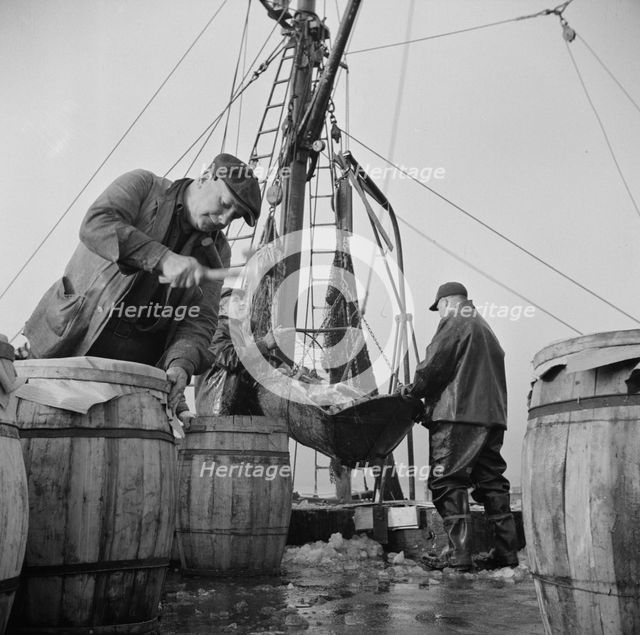 Unloading and packing fish at the Fulton fish market, New York, 1943. Creator: Gordon Parks.