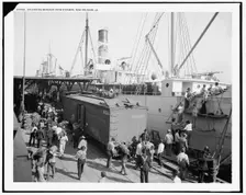 Unloading bananas from steamer, New Orleans, La., between 1900 and 1910. Creator: Unknown