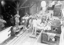 Unloading bananas, Mobile, Ala., c1906. Creator: Unknown
