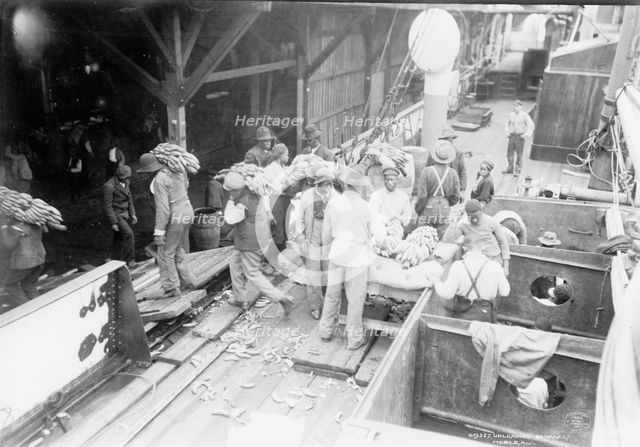 Unloading bananas, Mobile, Ala., c1906. Creator: Unknown.