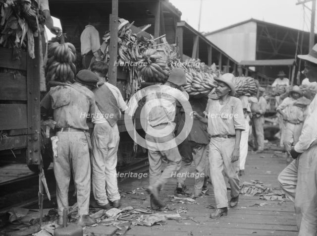 Unloading bananas, New Orleans, between 1920 and 1926. Creator: Arnold Genthe.