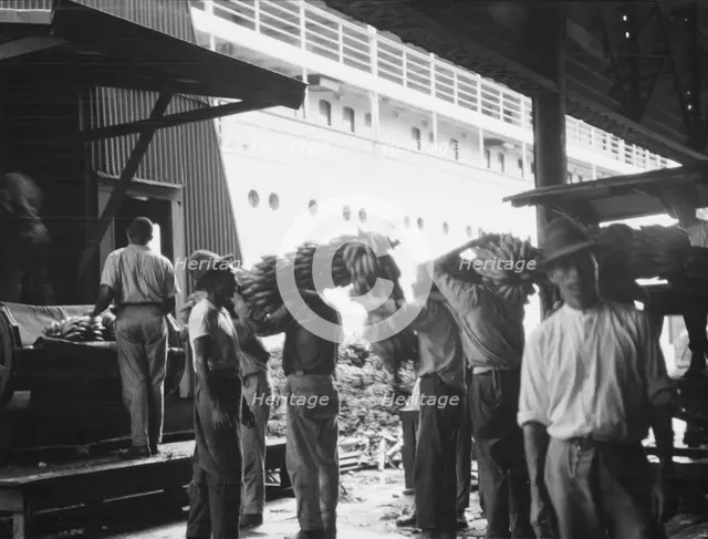 Unloading bananas, New Orleans, between 1920 and 1926. Creator: Arnold Genthe.