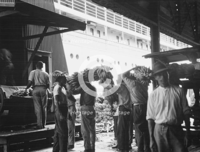 Unloading bananas, New Orleans, between 1920 and 1926. Creator: Arnold Genthe.