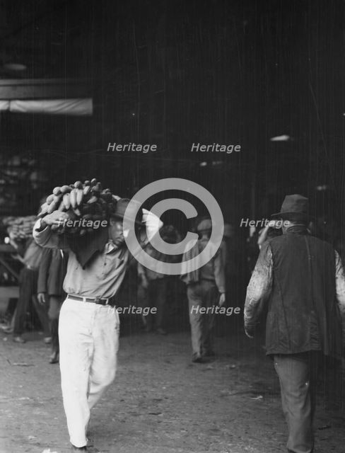 Unloading bananas, New Orleans, between 1920 and 1926. Creator: Arnold Genthe.