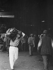 Unloading bananas, New Orleans, between 1920 and 1926. Creator: Arnold Genthe