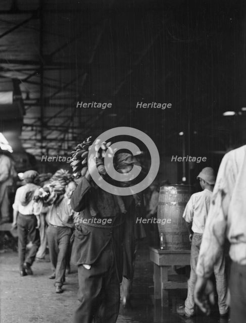 Unloading bananas, New Orleans, between 1920 and 1926. Creator: Arnold Genthe.