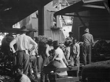 Unloading bananas, New Orleans, between 1920 and 1926. Creator: Arnold Genthe