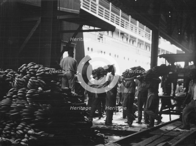 Unloading bananas, New Orleans, between 1920 and 1926. Creator: Arnold Genthe.
