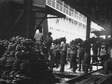 Unloading bananas, New Orleans, between 1920 and 1926. Creator: Arnold Genthe