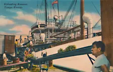 Unloading Bananas, Tampa, Florida c1940s