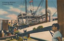 Unloading Bananas, Tampa, Florida c1940s