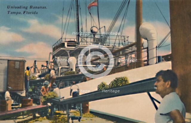 'Unloading Bananas, Tampa, Florida', c1940s. Artist: Unknown.