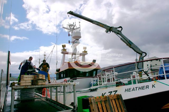 Unloading fish, Ullapool, Highland, Scotland. Creator: Peter Thompson.