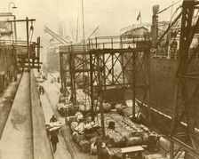Unloading Foodships at the Royal Albert Docks, London c1930. Creator: Unknown
