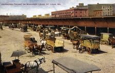 Unloading freight on the Mississippi levee, St Louis, Missouri, USA, 1911