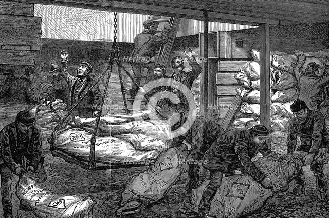 Unloading frozen meat from Australia, South West India Dock, Millwall, London, 1881. Creator: Unknown.