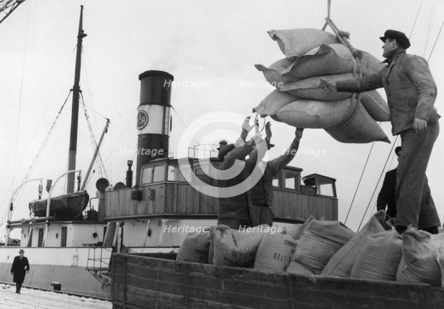 Unloading the freighter 'Helle', Trelleborg harbour, Sweden. Creator: Unknown.