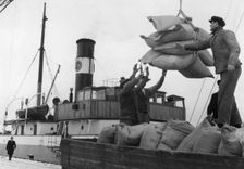Unloading the freighter Helle Trelleborg harbour, Sweden. Creator: Unknown