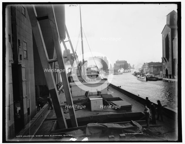 Unloading wheat into elevators, Buffalo, c1900. Creator: Unknown.