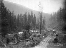 Udungui trade route, between Mysovaya and Ulyatui, end of 19th century. Creator: Nikolai Apollonovich Charushin