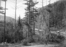 Udungui trade route, between Udunga and Gujirka.
, end of 19th century. Creator: Nikolai Apollonovich Charushin