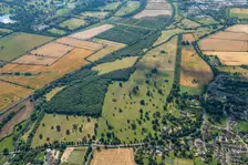 Uffington Park, Lincolnshire, 2024. Creator: Robyn Andrews