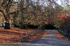 UK, London, Battersea Park, 2009. Creator: Ethel Davies