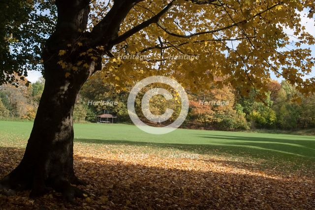UK, London, Hampstead Heath, 2009. Creator: Ethel Davies.