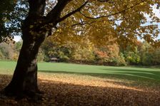 UK, London, Hampstead Heath, 2009. Creator: Ethel Davies