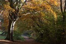 UK, London, Hampstead Heath, 2009. Creator: Ethel Davies
