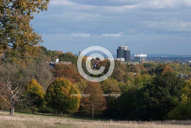 UK, London, Hampstead Heath, 2009. Creator: Ethel Davies.