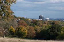 UK, London, Hampstead Heath, 2009. Creator: Ethel Davies
