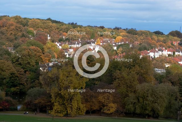 UK, London, Hampstead Heath, 2009. Creator: Ethel Davies.