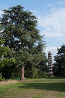 UK, London, Kew Gdns, 2009. Creator: Ethel Davies